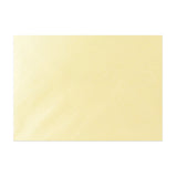 Envelope cor de champanhe com brilho 125X175MM (B6)